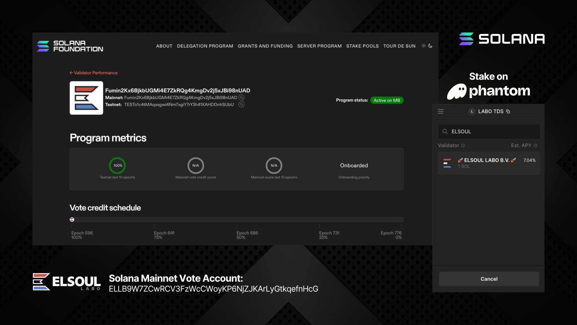 ELSOUL LABO Solana Mainnet Validator